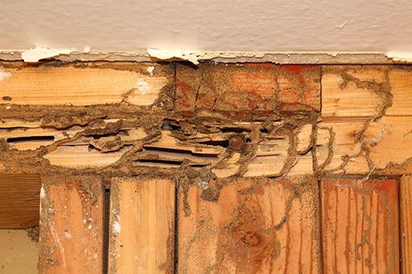 Home Inspection