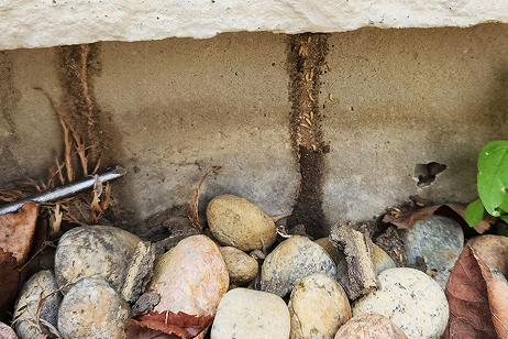 Home Inspection