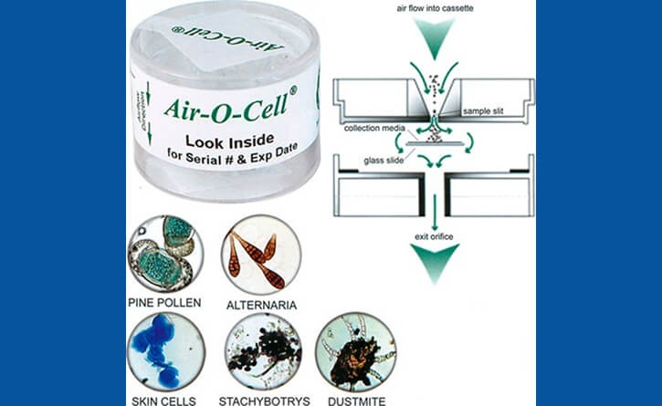 Mold Testing